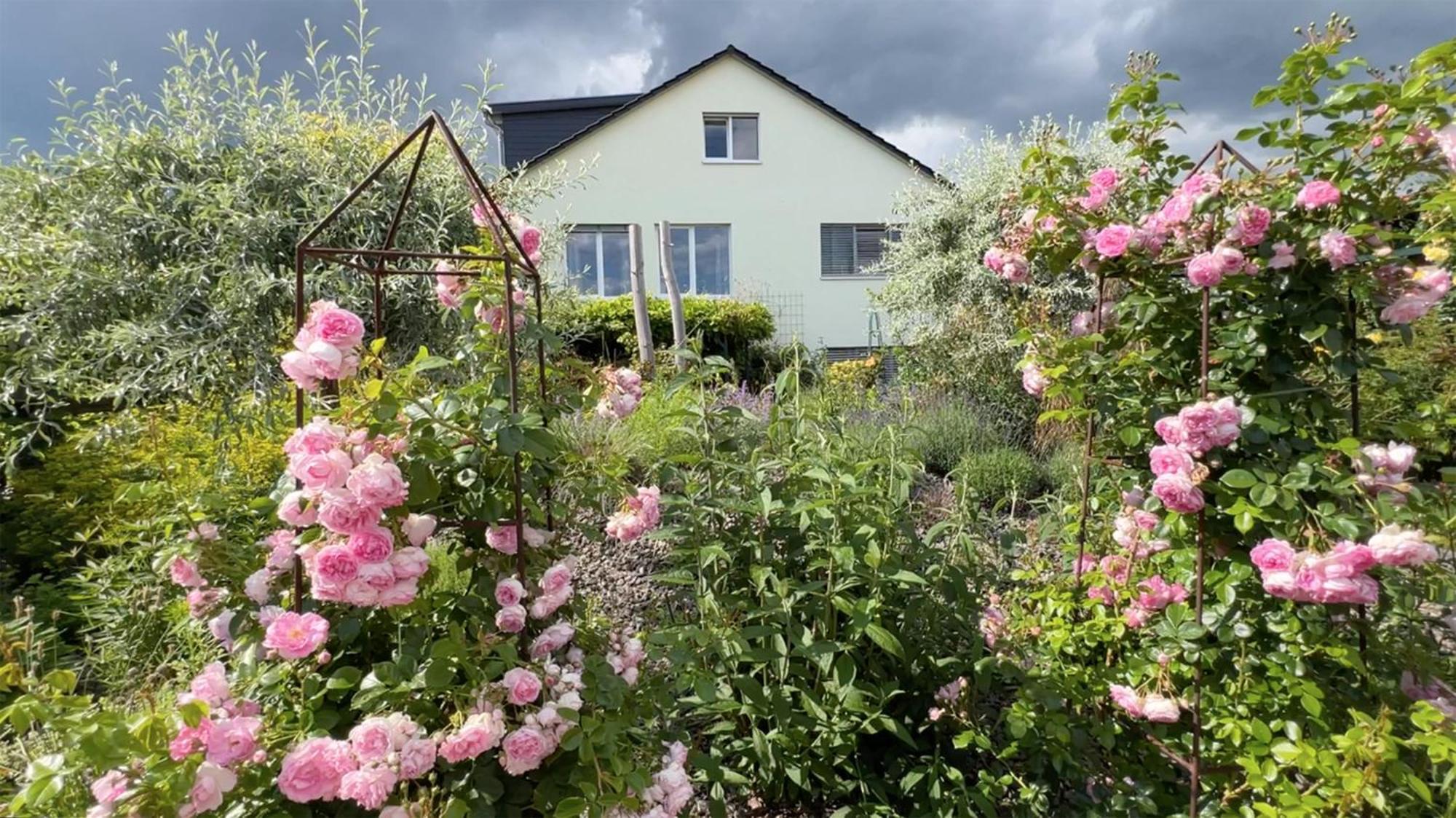 Auberge L'Art Erfurt Dış mekan fotoğraf
